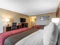 comfort-inn-denver-central