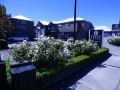 fyffe-on-riccarton-christchurch