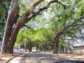 colombo-villa-at-cambridge-place
