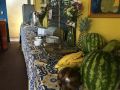 panama-house-bed-and-breakfast