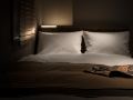 nest-hotel-tokyo-hanzomon
