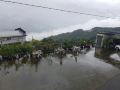 capstone-zhao-ming-yuan-bed-and-breakfast