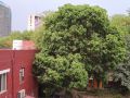 ywca-international-guest-house