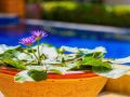 3-bedroom-private-pool-central-pattaya-villa