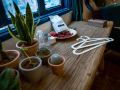 a-plus-apartment-shoushantang