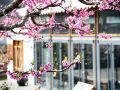 qingdao-xiangyue-homestay