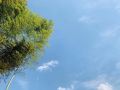 home-stay-on-cloud-in-tonglu