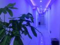 jiayun-apartment