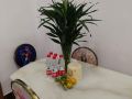 haohan-s-home-apartment-no2-branch
