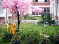longhu-international-apartment