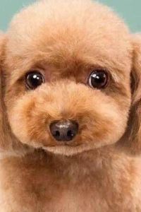 Liuliguangta 琶洲酒店(廣州會展中心磨碟沙地鐵站店)優惠