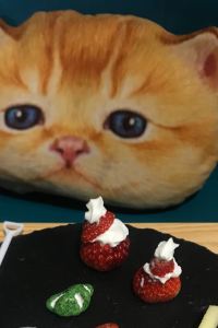 Yubaobeiyiqiaoyoutianxia