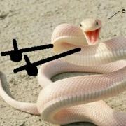 Huluobobububu 麗楓酒店(潮州潮楓路和諧雅筑店)優惠