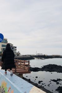 보리보리