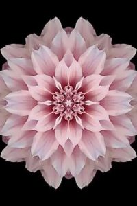 Jixiangruyi332525 麗楓酒店(潮州潮楓路和諧雅筑店)優惠