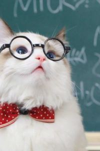 Xiaozhao 인터컨티넨탈 그랜드 서울 파르나스 쿠폰