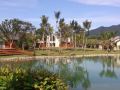 aria-s-home