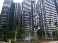 jujia-apartment-shenzhen-kk100