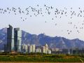 naluwan-sea-view-holiday-apartment-qingdao