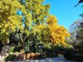 beijing-jintai-hotel-bamboo-garden-branch