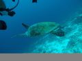 boutique-beach-all-inclusive-maldives