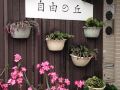 taitung-freehome-bed-and-breakfast
