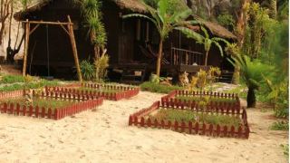 cove-beach-resort