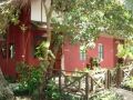 bohol-bee-farm