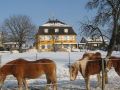 adler-hotel-and-gasthaus