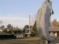 cooma-motor-lodge-motel