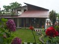 temi-house