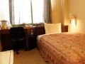 mimatsu-annex-formerly-mito-hyatt-hotel