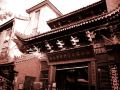 simple-capsule-home-xi-an-shu-yuan-men