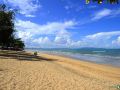 rabbit-resort-pattaya
