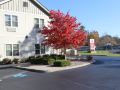 best-western-plus-saratoga-springs