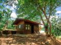 360-rainforest