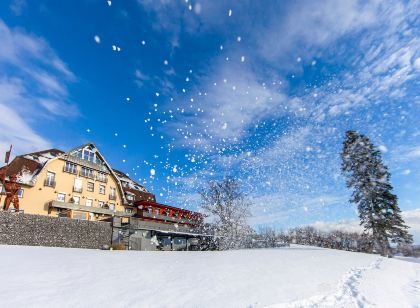Bodensee-Hotel Sonnenhof | Wellnesshotel, Tagungshotels & Urlaubshotel