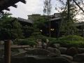 kurotake