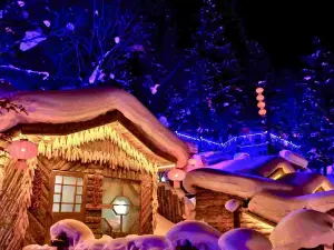 Snow Village Inn