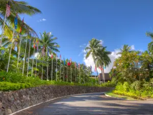 塔努阿國際酒店 - CFC 認證