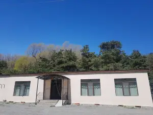 Cozy Hotel in Kazbegi
