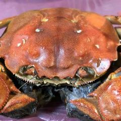 阿瘦农家蟹庄·阳澄湖大闸蟹·农家乐(莲花岛店) User Photo