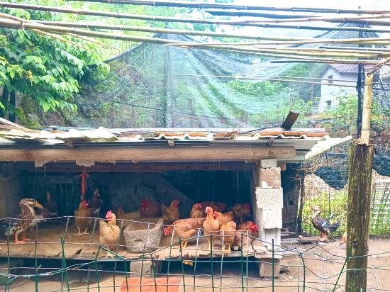 Others 2, Zhexi Tianchi Xishui Homestay, Hangzhou