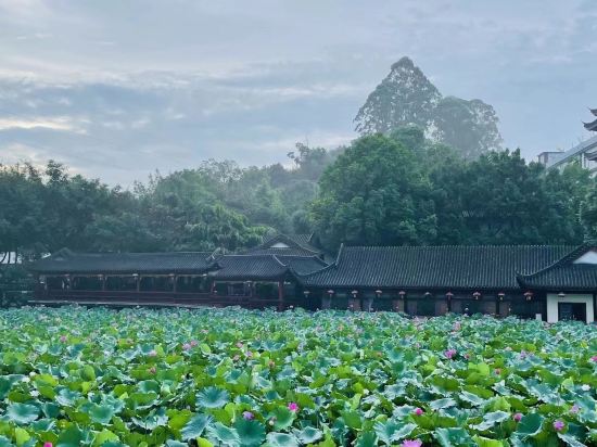 Others 5, Gold Eagle Resort, Leshan