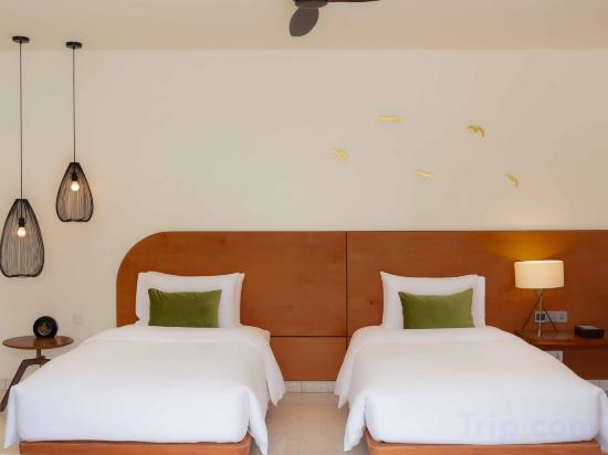 The Aviary Hotel Room Type - Family Room