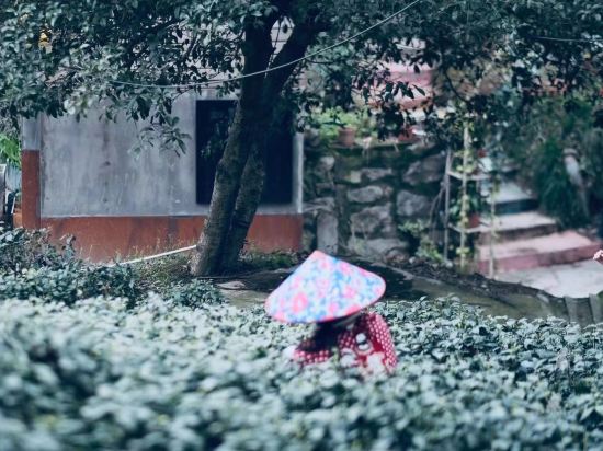 Others 5, Ru Ye Inn, Hangzhou