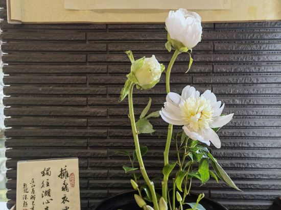 Others 2, SCHOLARS BOUTIQUE Suzhou Pingjiangfu, Suzhou