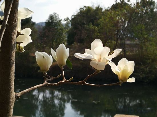 Others 5, Relong Hot Spring Resort, Heyuan