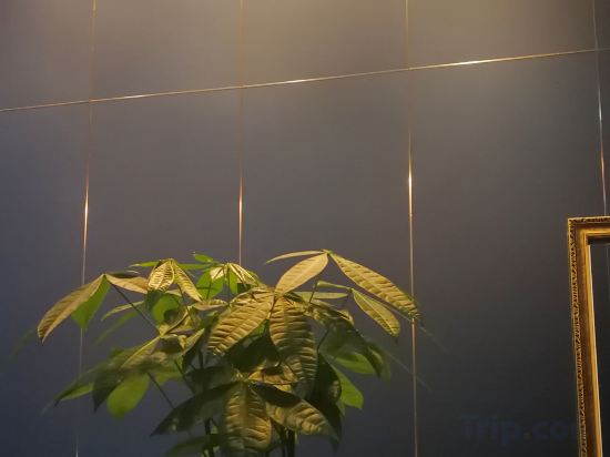 Others 2, Debang Aili Hotel, Yongzhou