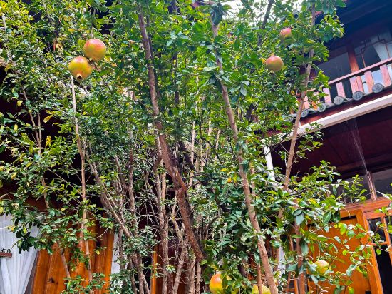 Others 4, Azure Light Luxury Inn (Lijiang Ancient Town), Lijiang